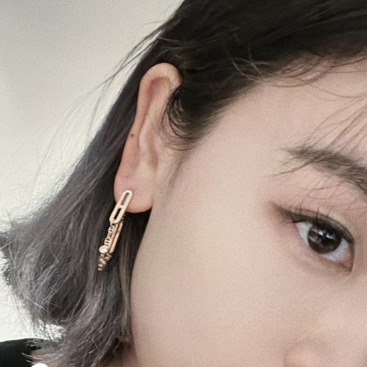 Hermes Earrings